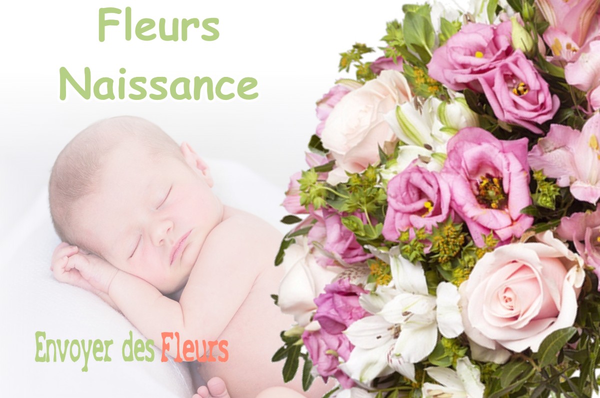 lIVRAISON FLEURS NAISSANCE à TILH